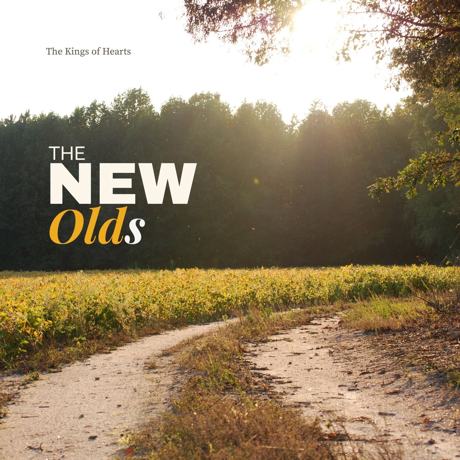 The New Olds album cover. A dirt track through a soybean field in Nash County, North Carolina.
